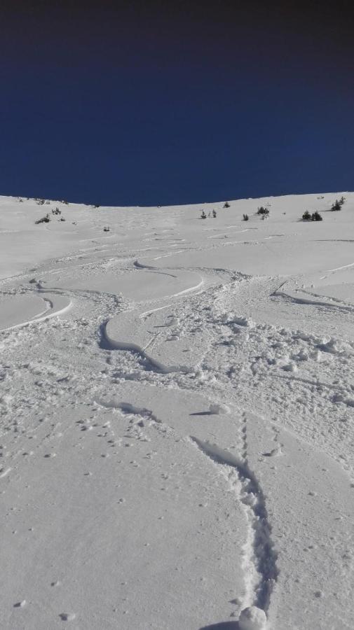 Ferienwohnung Wohlfahrter Bad Mitterndorf Bagian luar foto