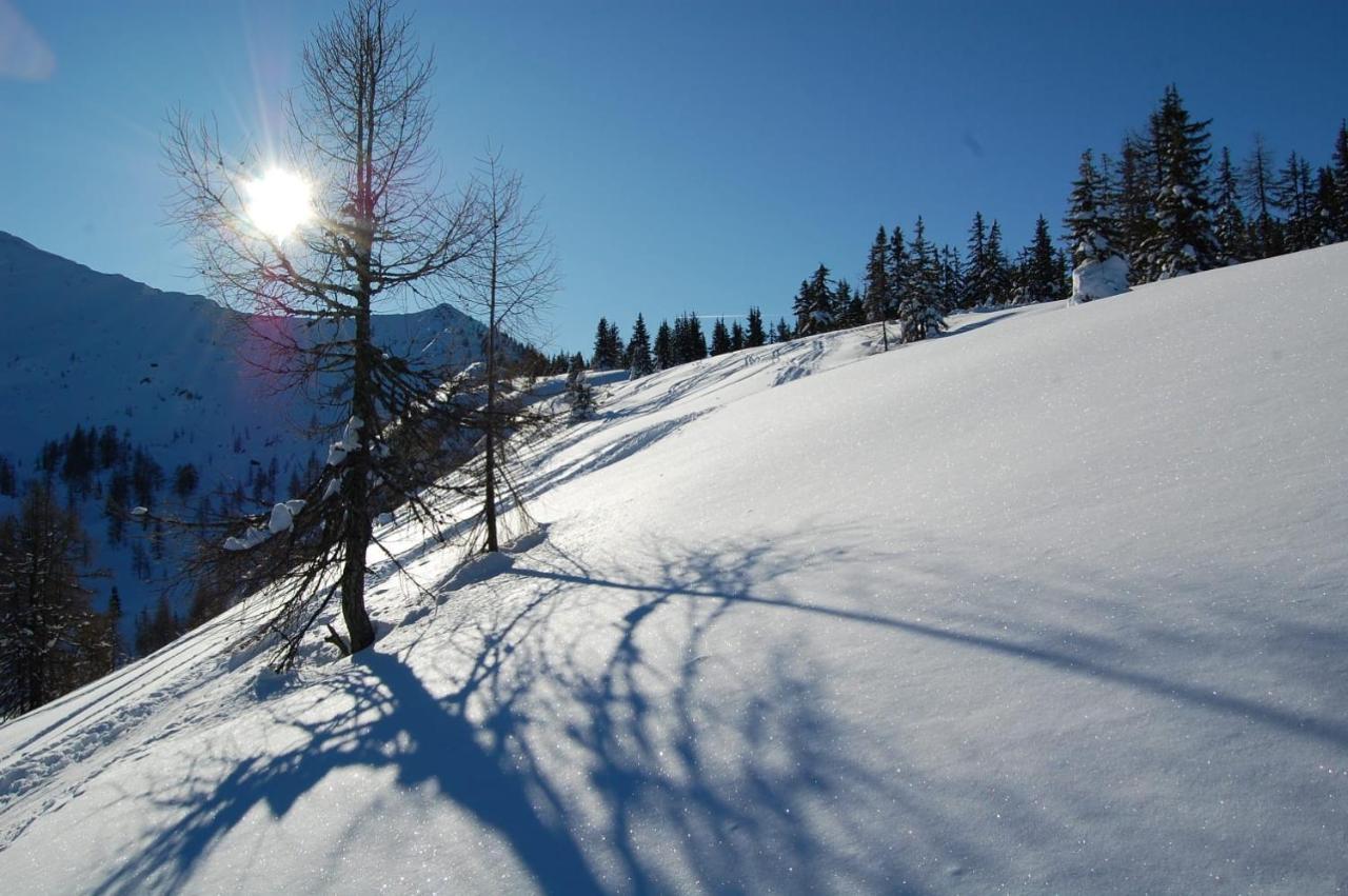 Ferienwohnung Wohlfahrter Bad Mitterndorf Bagian luar foto